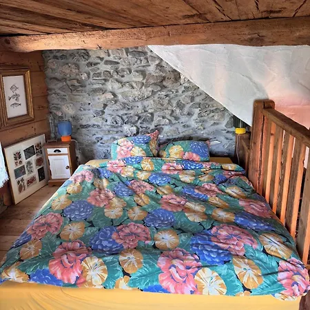 Апартаменты Cosy Mountain Arbaz